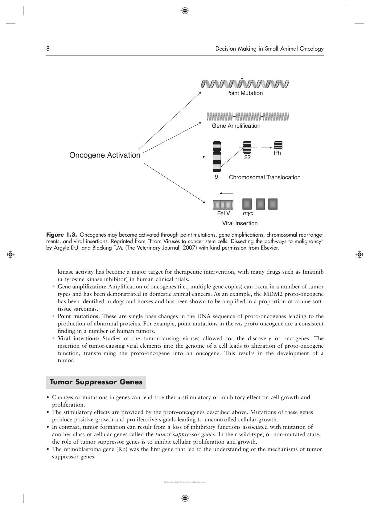 Decision Making In Small Animal Oncology