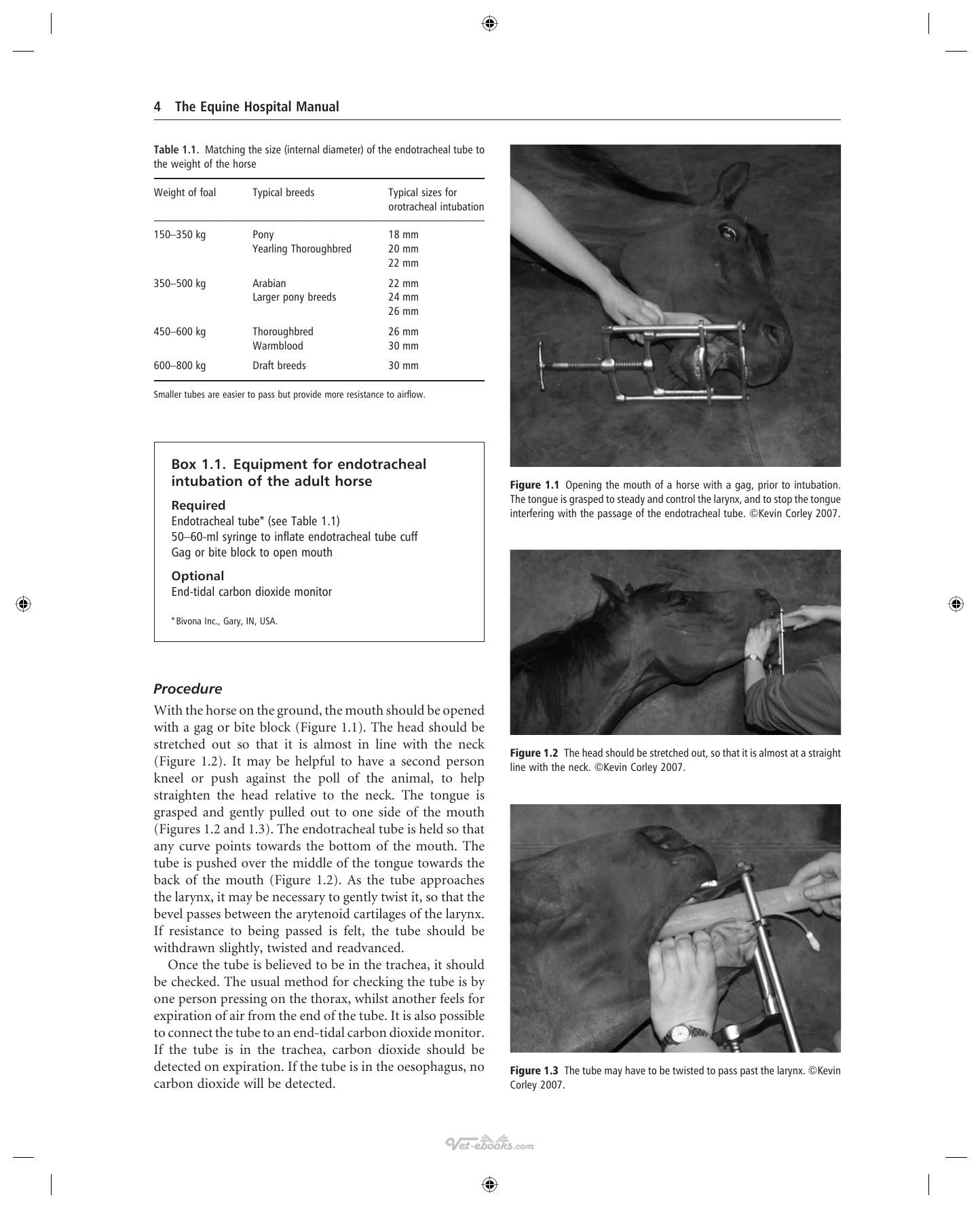 The Equine Hospital Manual