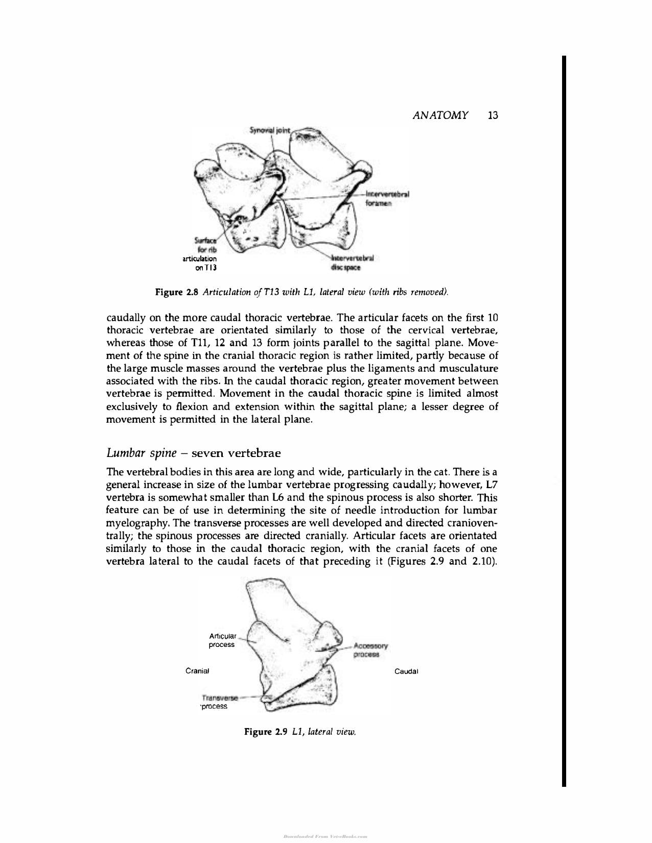 Handbook Of Small Animal Spinal Surgery