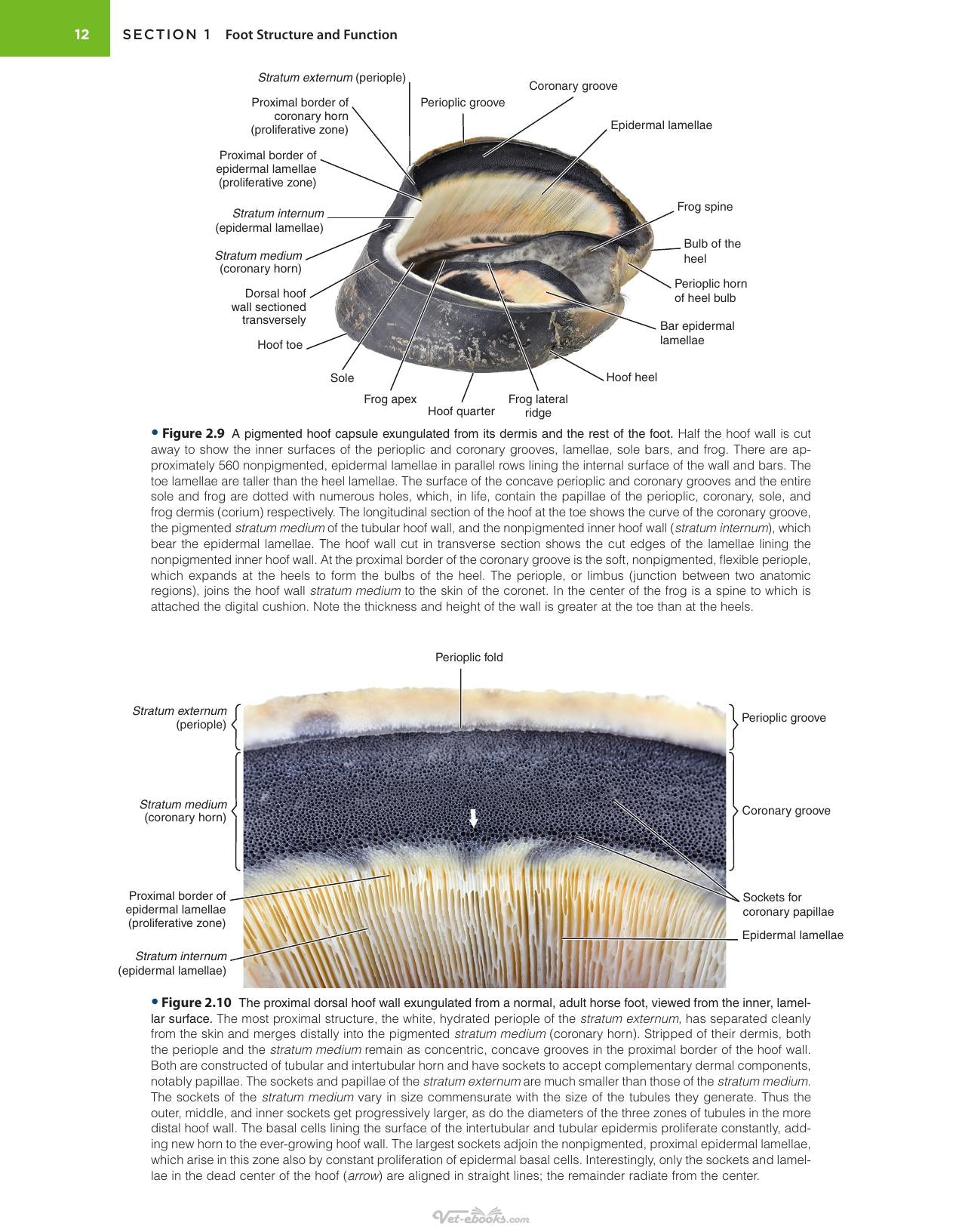 Look inside — page 21