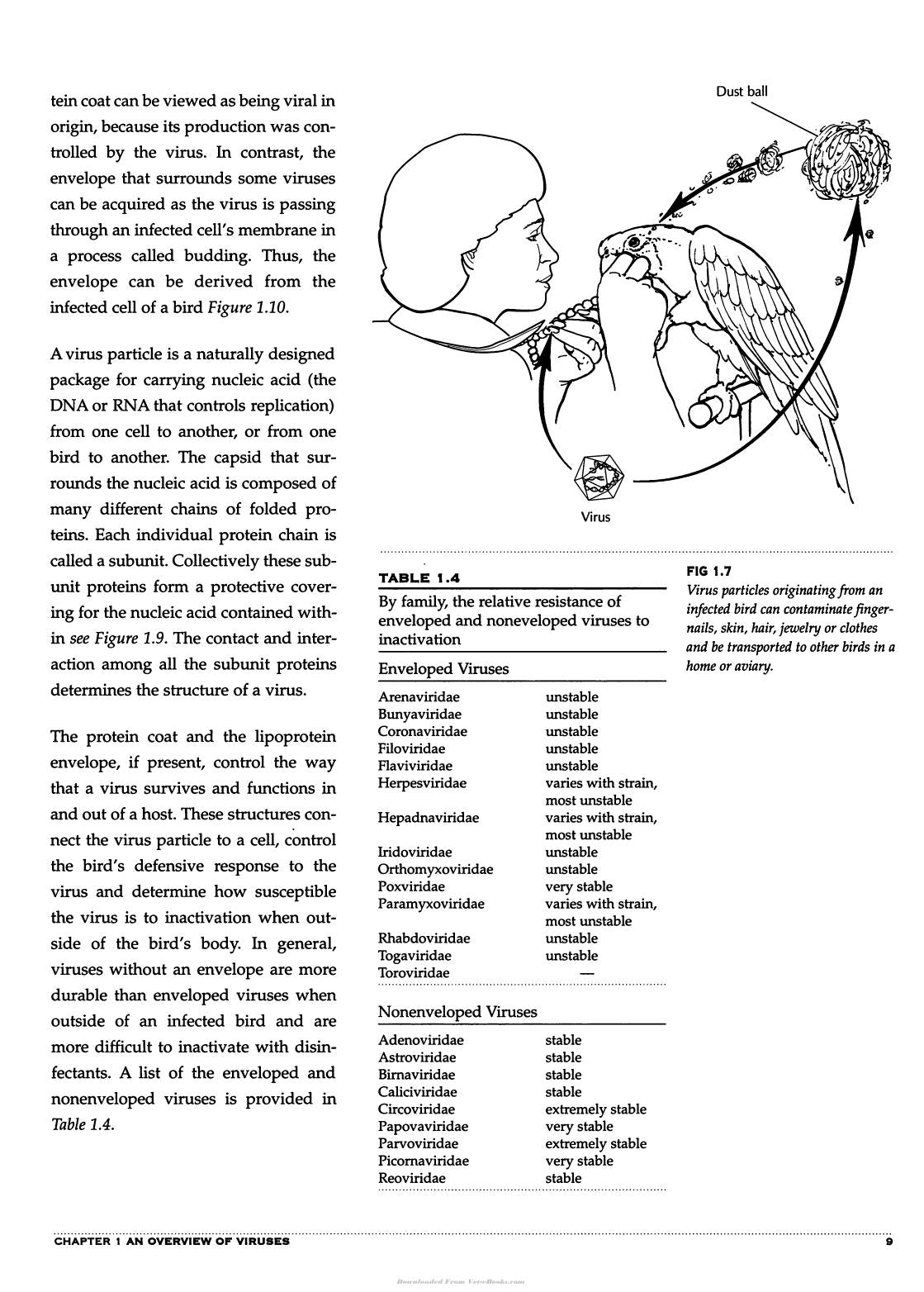 Avian Viruses Function And Control