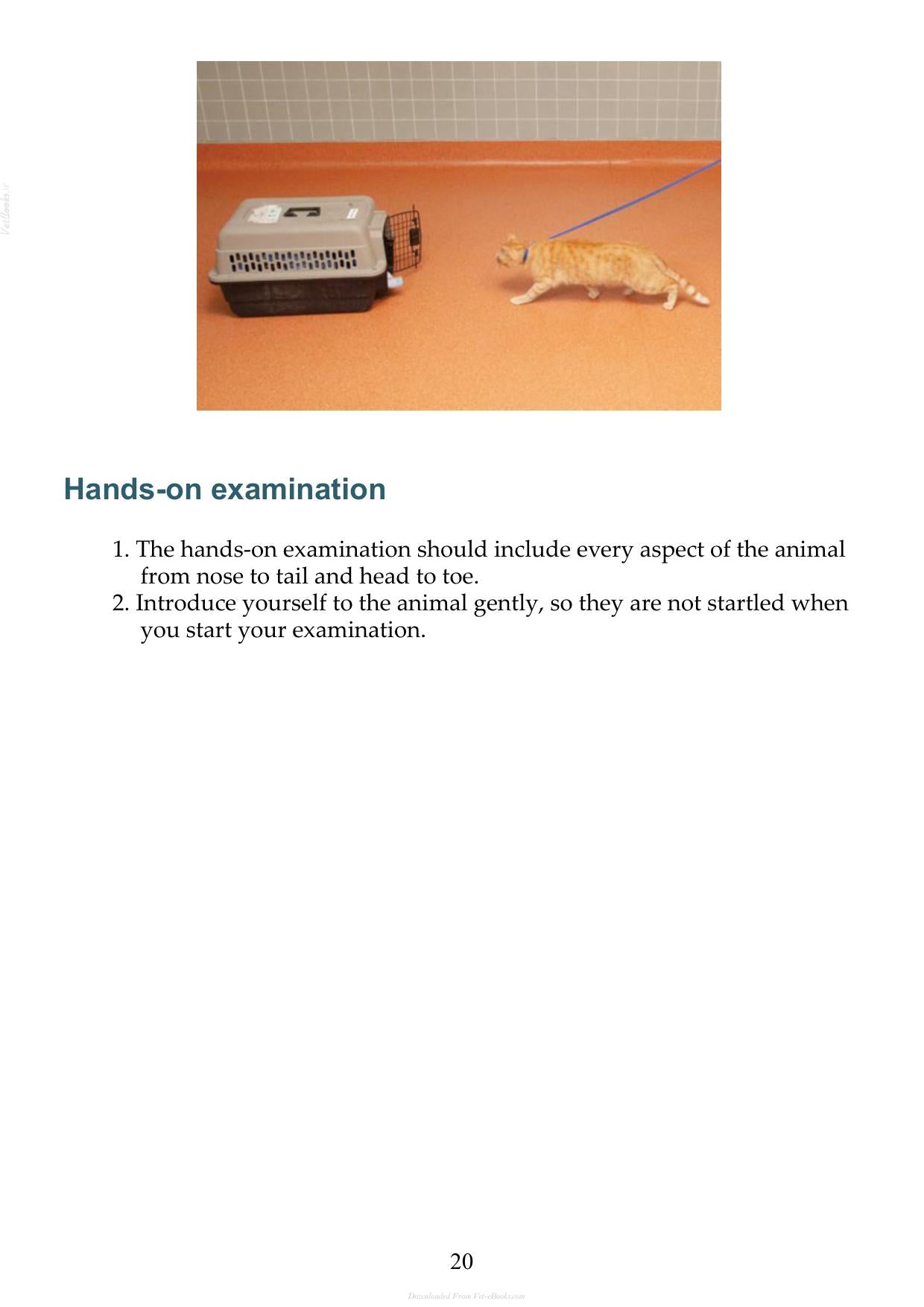 Small Animal Clinical Techniques 3Rd Edition