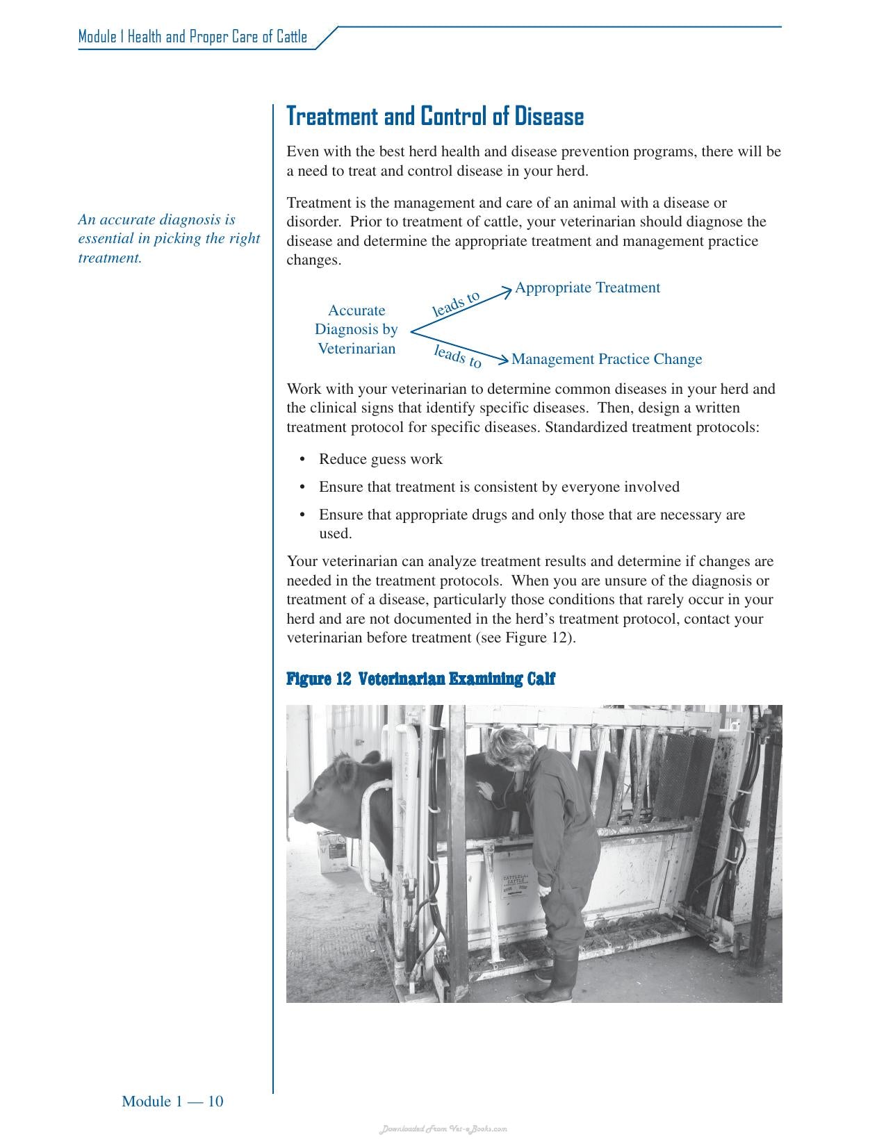 Cattle Medicine Responsible Use Course