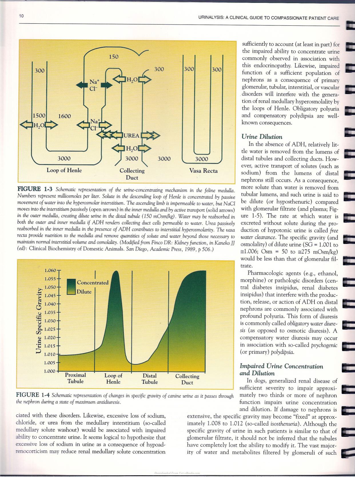 Urinalysis A Clinical Guide To Compassionate Patient Care