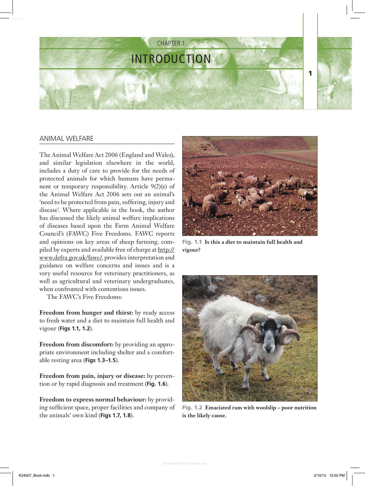 Look inside — page 21