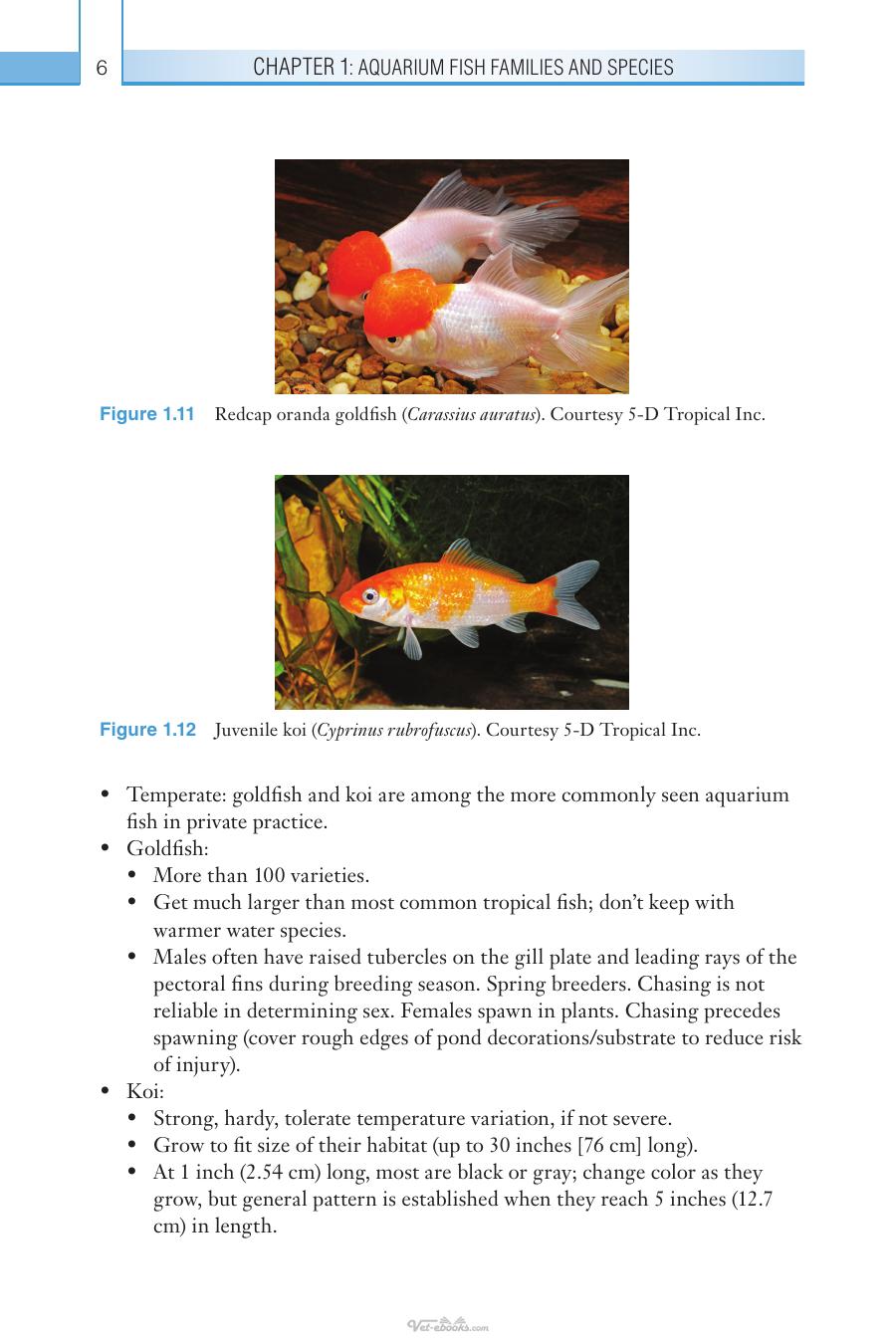 The Aquarium Fish Medicine Handbook
