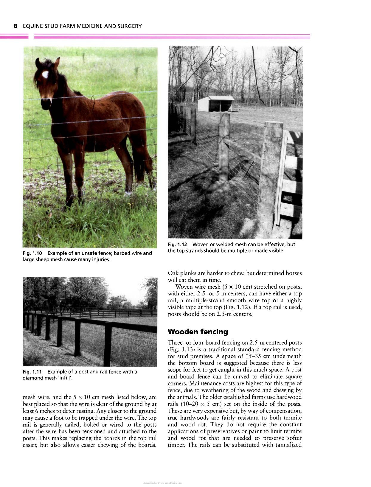 Look inside — page 21