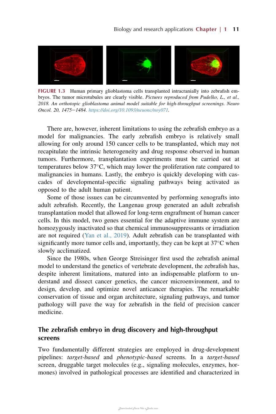 Laboratory Fish In Biomedical Research Biology Husbandry And Research Applications For Zebrafish