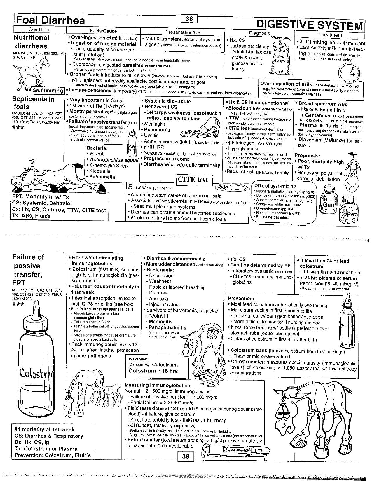 Look inside — page 21