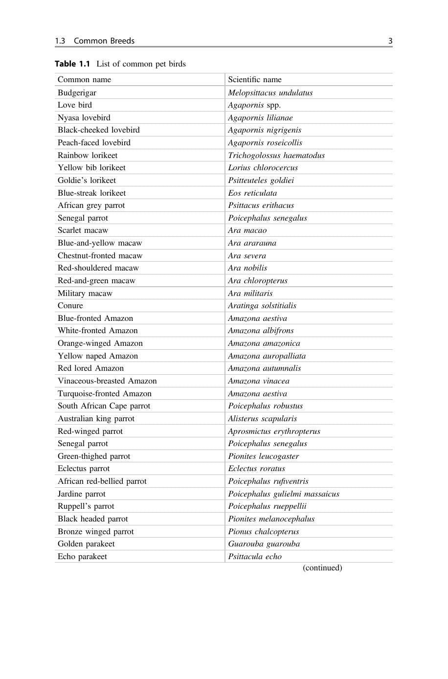 Pet Bird Diseases And Care