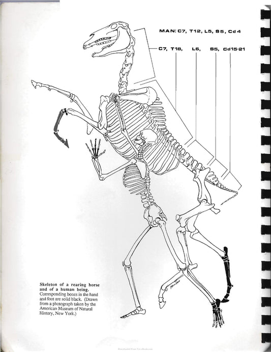 Look inside — page 2
