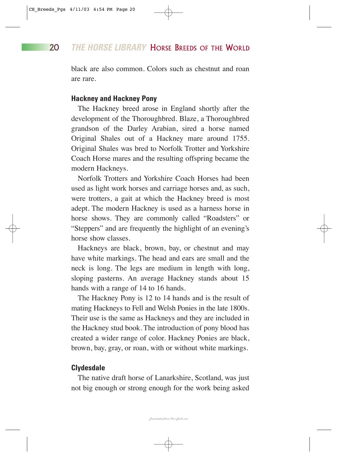 Horse Breeds Of The World