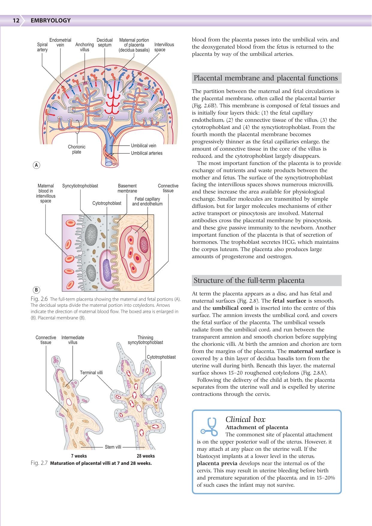 Embryology An Illustrated Colour Text 2Nd Edition