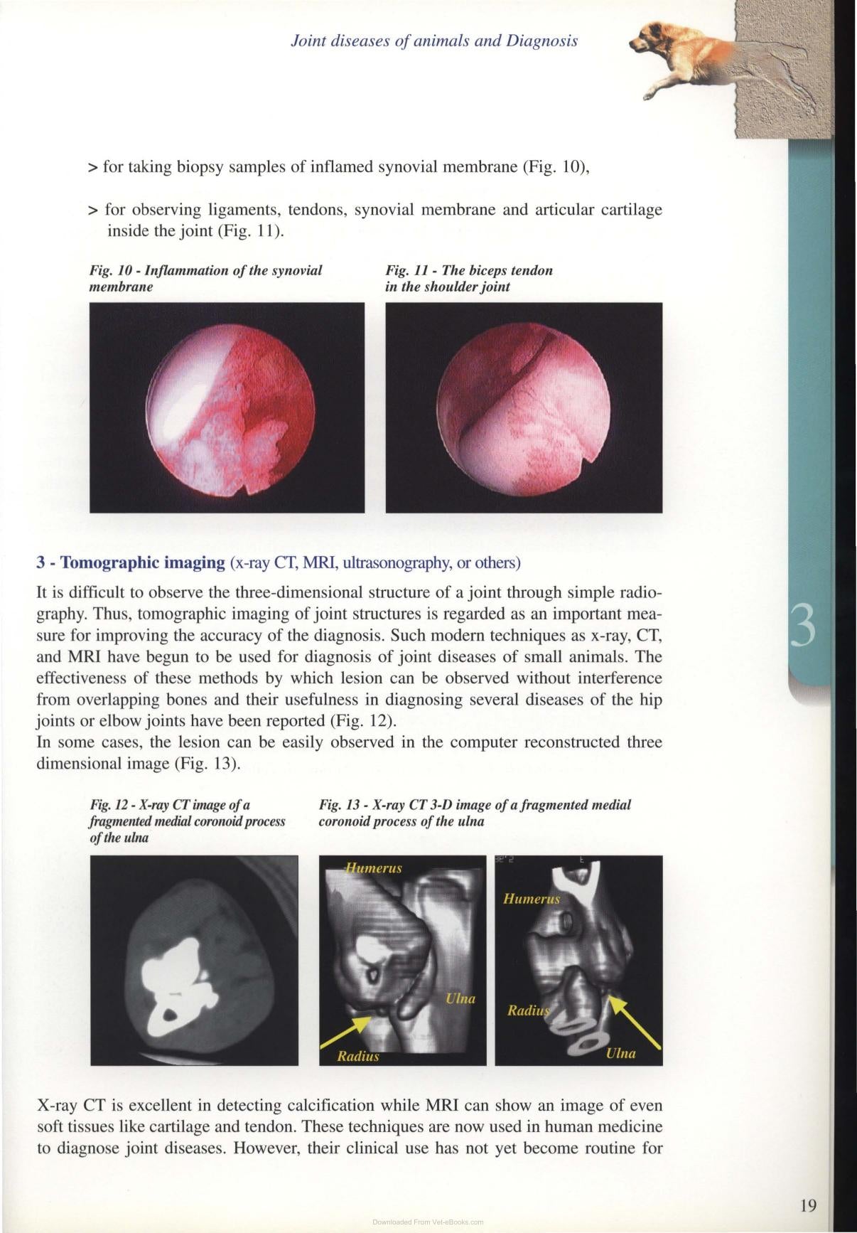 Diagnosis And Treatment Of Joint Disease Of Small Animals