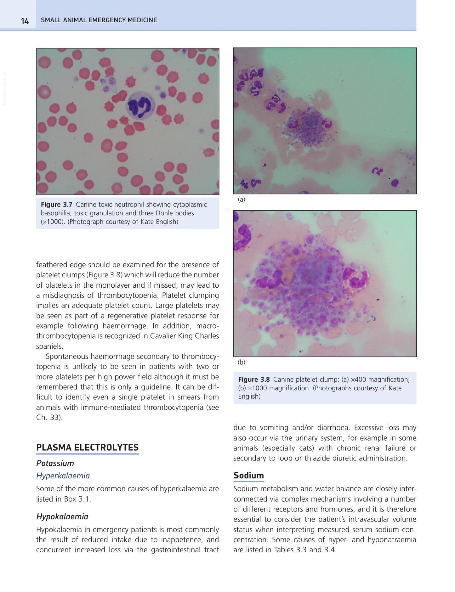 Look inside — page 24