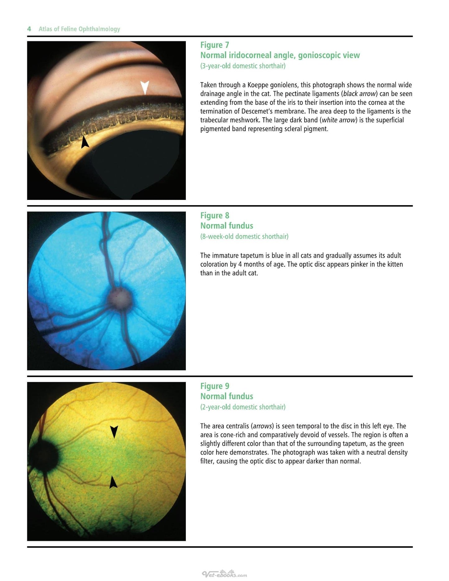 Look inside — page 24