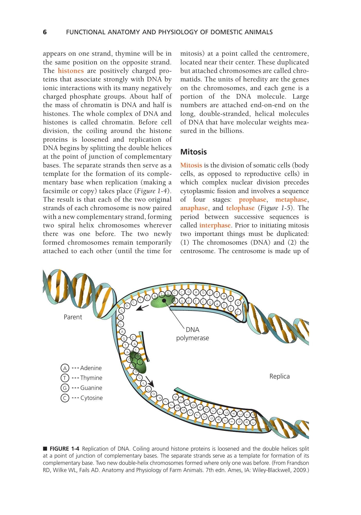 Look inside — page 26