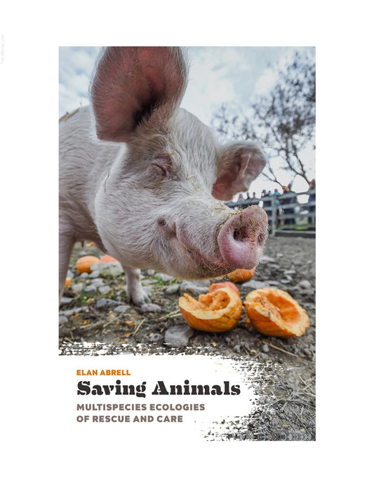 Look Inside page 2 - Saving Animals Multispecies Ecologies Of Rescue And Care