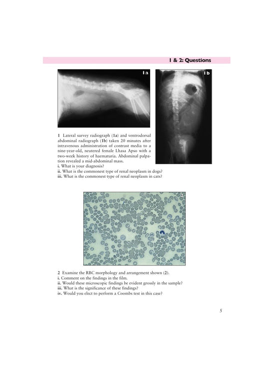Look Inside page 7 - Small Animal Abdominal Metabolic Disorders Self Assessment Color Review