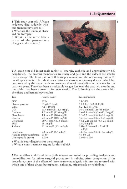 Look Inside page 6 - Small Mammals Self Assessment Color Review