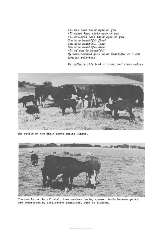 Look Inside page 7 - The Behaviour Of Beef Suckler Cattle Bos Taurus