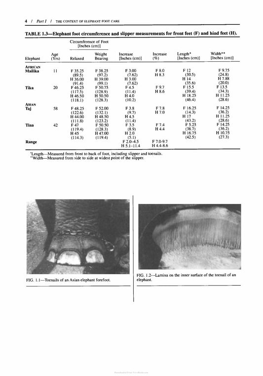 Look Inside page 10 - The Elephant’s Foot, Prevention and Care of Foot Conditions in Captive Asian and African Elephants