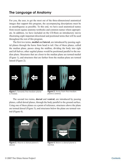 Look Inside page 7 - The Glass Horse Equine Colic Supplemental Text And Interactive Cd