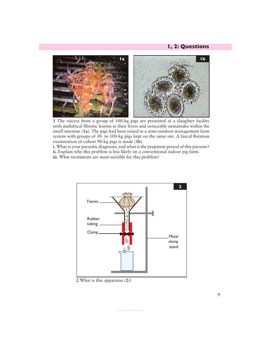 Look Inside page 10