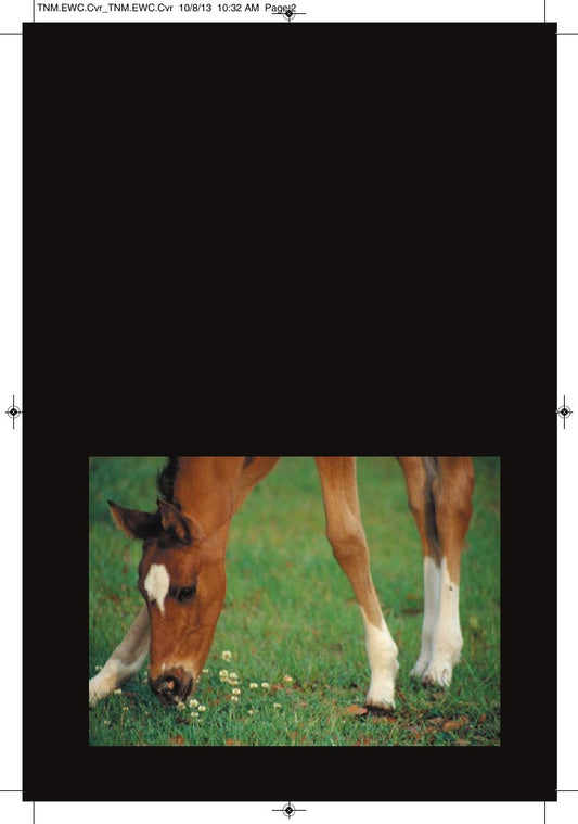 Look Inside page 2 - Wound Care Management For The Equine Practitioner