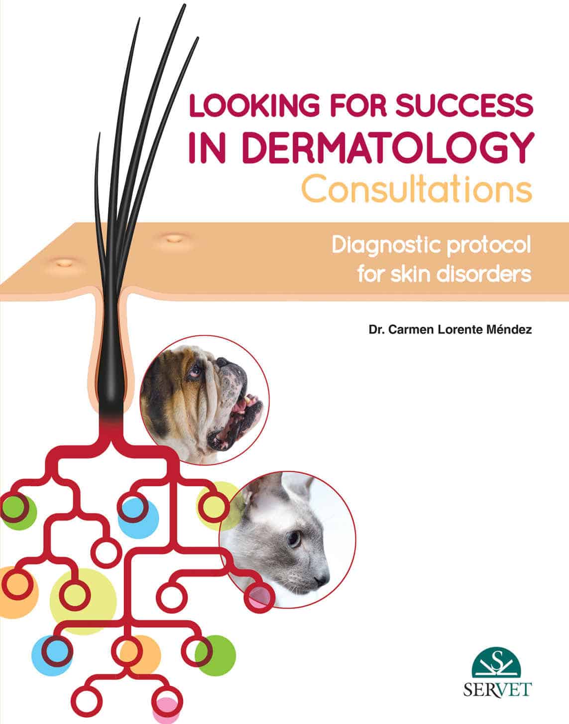 Looking For Success In Dermatology Consultations Diagnostic Protocol For Skin Disorders