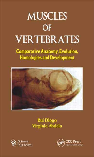 Muscles Of Vertebrates Comparative Anatomy Evolution Homologies And Development