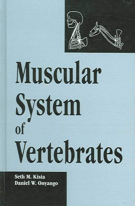Muscular System Of Vertebrates