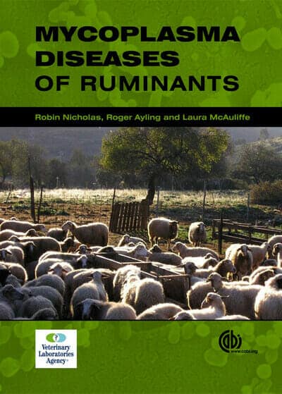 Mycoplasma Diseases Of Ruminants