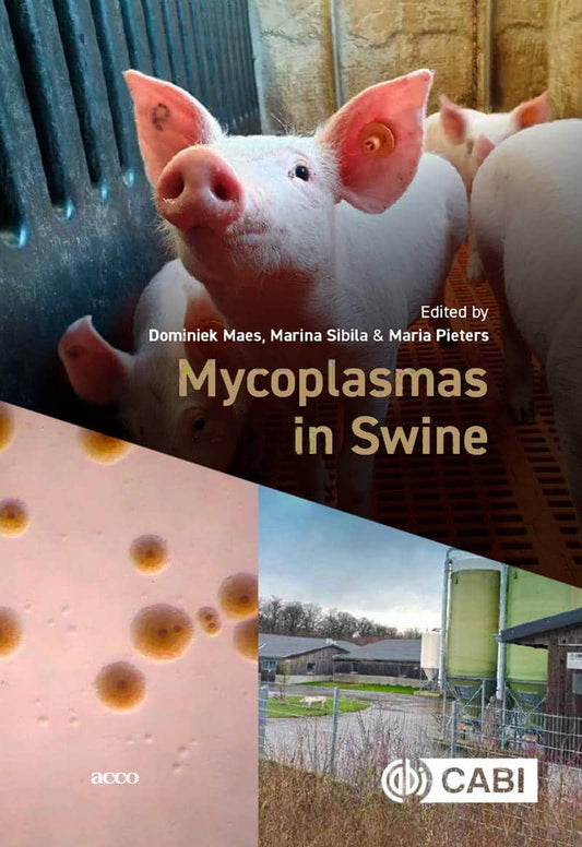 Mycoplasmas In Swine