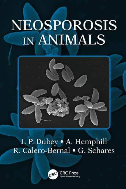 Neosporosis In Animals