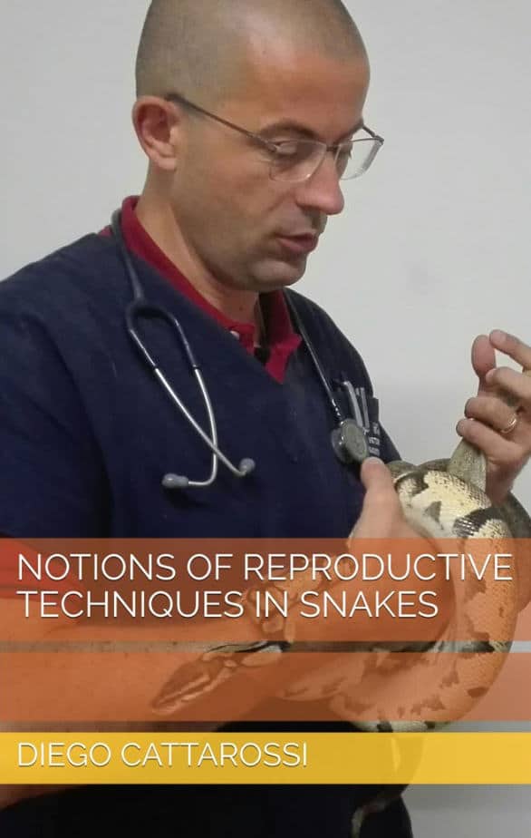 Notions Of Reproductive Techniques In Snakes
