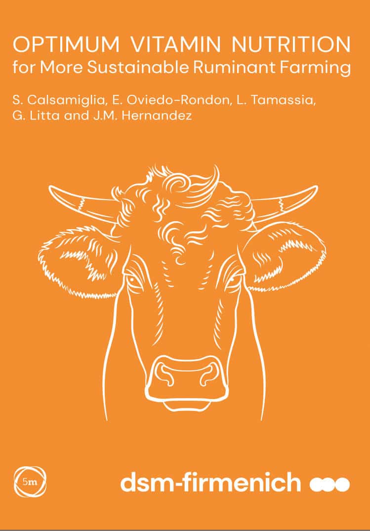 Optimum Vitamin Nutrition For More Sustainable Ruminant Farming