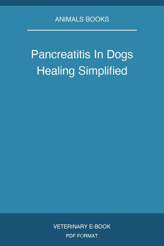 Pancreatitis In Dogs Healing Simplified