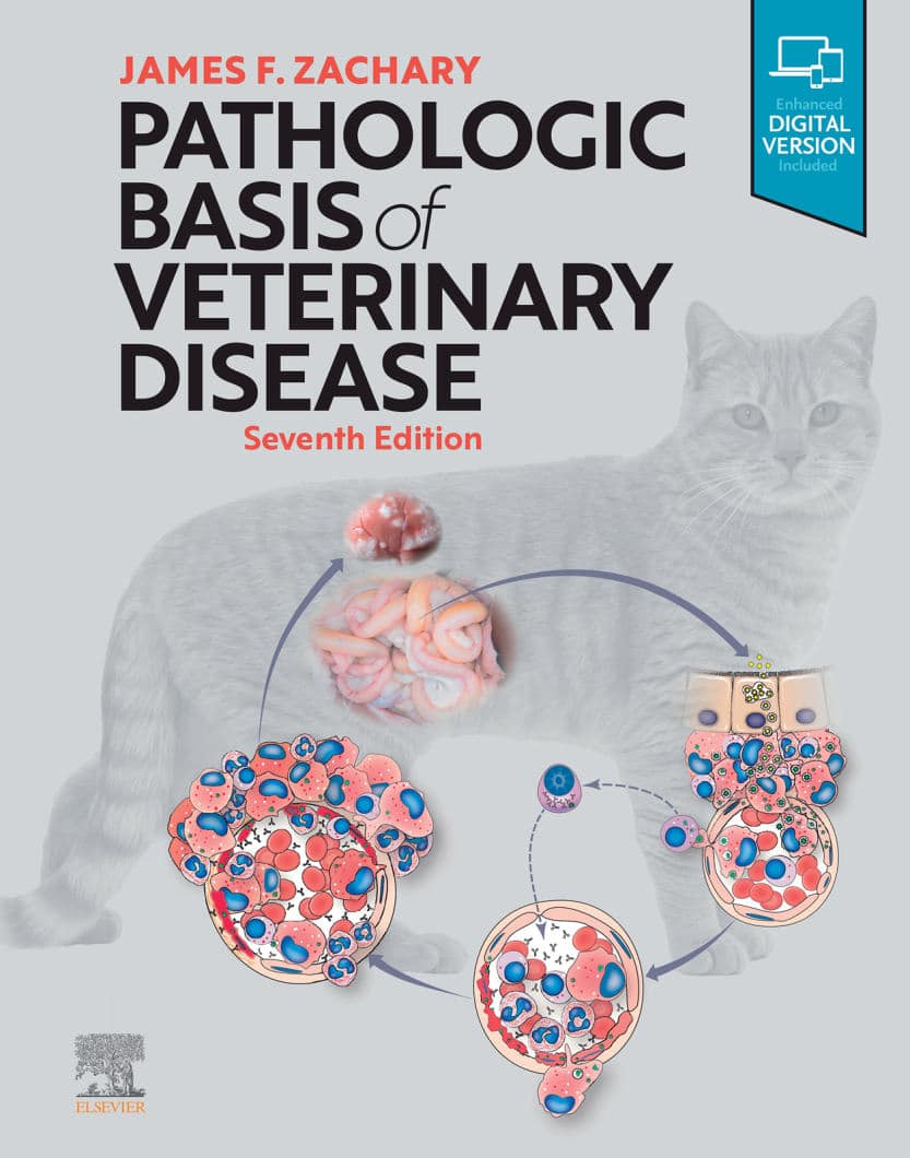 Pathologic Basis Of Veterinary Disease 6Th Edition