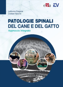 Patologie Spinali Del Cane E Del Gatto