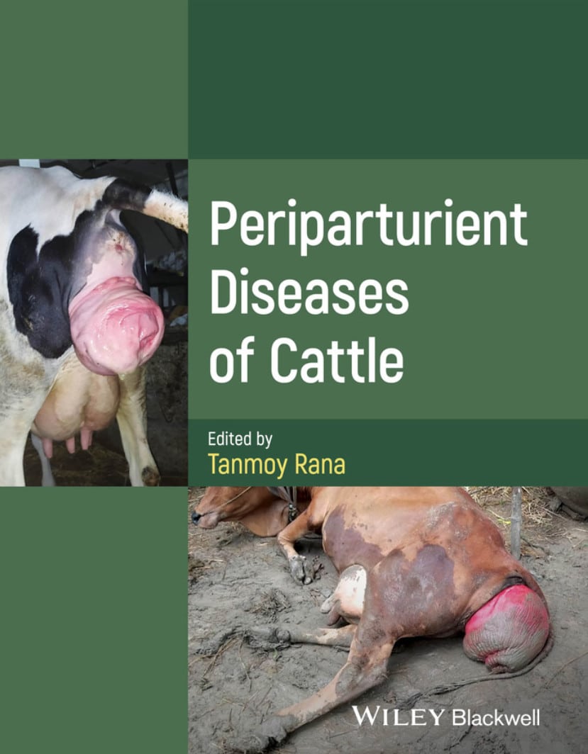 Periparturient Diseases Of Cattle