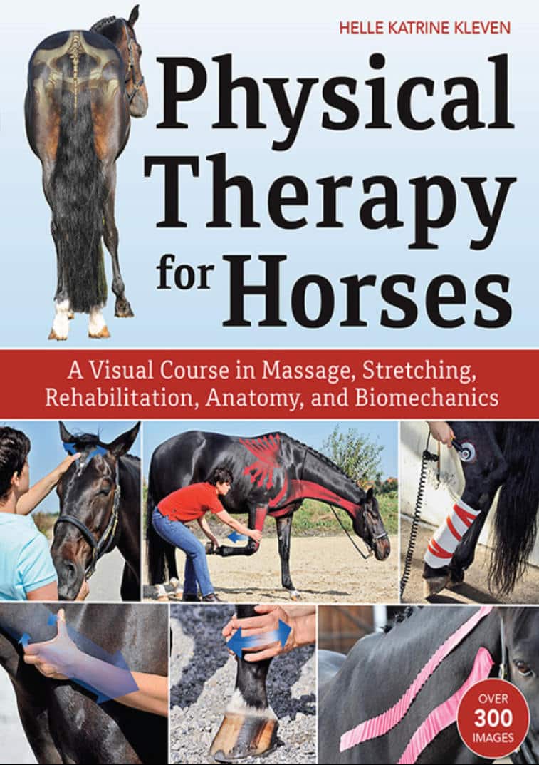 Physical Therapy For Horses A Visual Course In Massage Stretching Rehabilitation Anatomy And Biomechanics