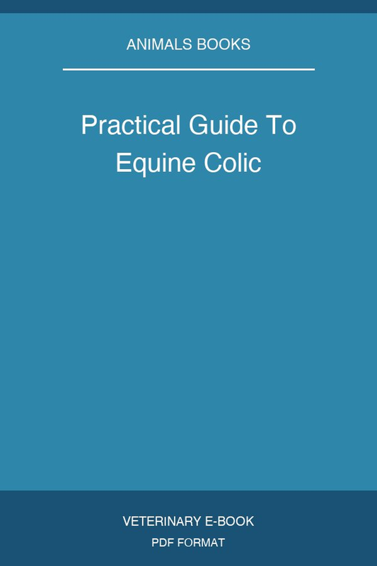 Practical Guide To Equine Colic