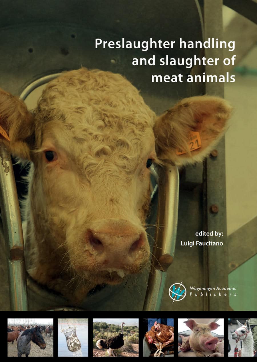 Preslaughter Handling And Slaughter Of Meat Animals