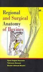 Regional And Surgical Anatomy Of Bovines