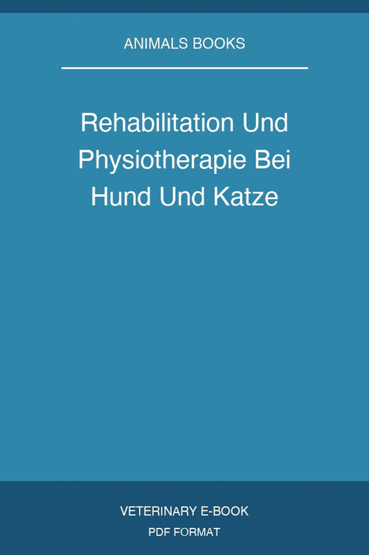 Rehabilitation Und Physiotherapie Bei Hund Und Katze