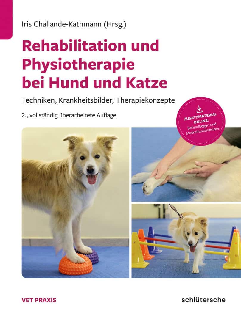 Rehabilitation Und Physiotherapie Bei Hund Und Katze
