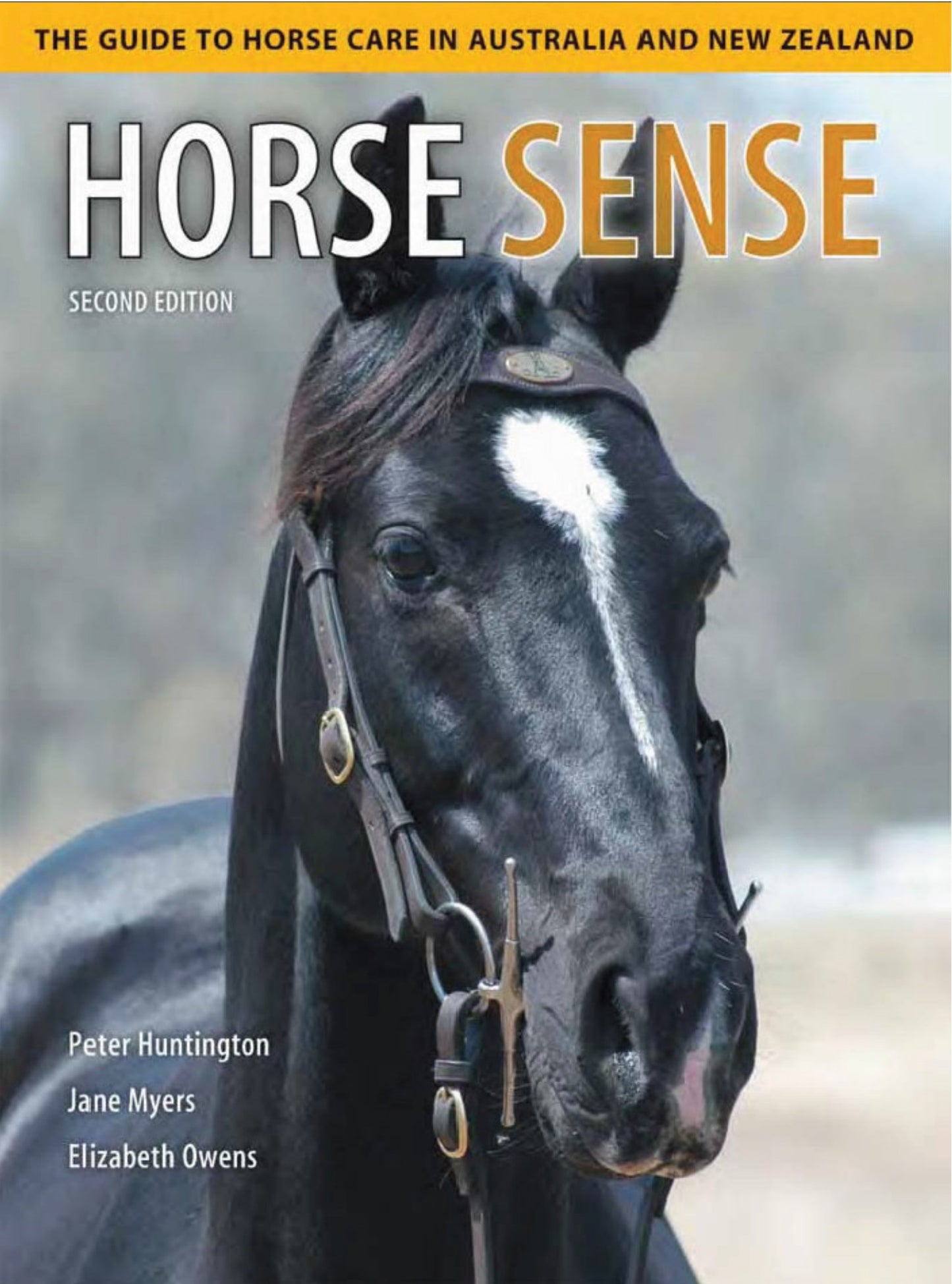 The Career Guide To The Horse Industry