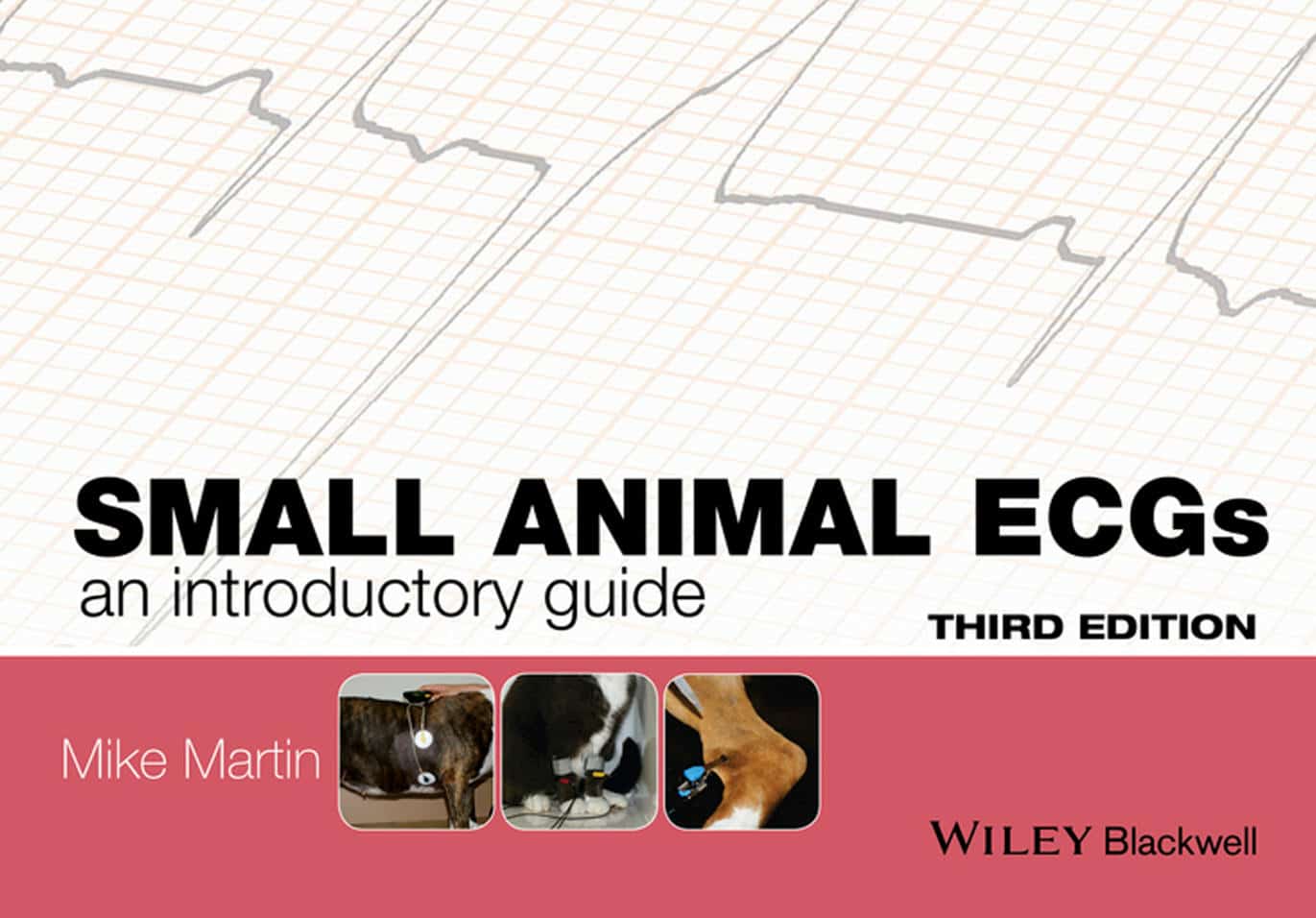 Small Animal Ecgs An Introductory Guide 3Rd Edition