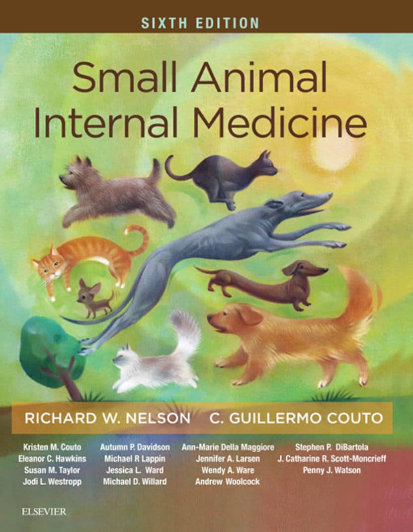 Small Animal Internal Medicine Sixth Edition